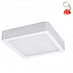 Oprawa natynkowa sufitowa LED 7W SHAUN2 71195 Rabalux