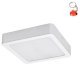 Oprawa natynkowa sufitowa LED 7W SHAUN2 71195 Rabalux