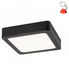 Oprawa natynkowa sufitowa LED 7W SHAUN2 71213 Rabalux