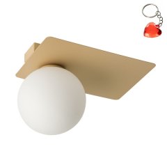 Lampa sufitowa ARGON 1 33274 Sigma Lighting