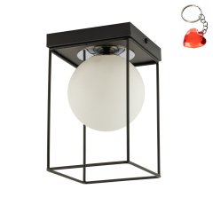 Lampa sufitowa AROMA 1 40706 Sigma Lighting