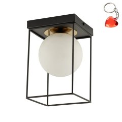 Lampa sufitowa AROMA 1 40710 Sigma Lighting