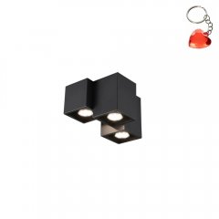 Lampa sufitowa FERNANDO 604900332 Trio