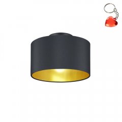 Lampa sufitowa HOSTEL 608200279 Trio