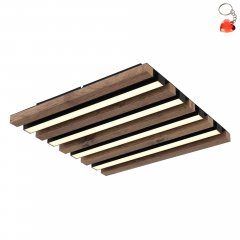 Lampa sufitowa LED 15W HAYDEN 67347D1 Globo