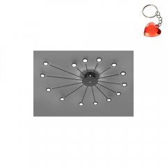 Lampa sufitowa LED 15x2,6W PEACOCK 679511532 Trio