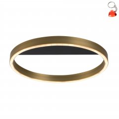 Lampa sufitowa LED 20W THRIC 71309 Rabalux