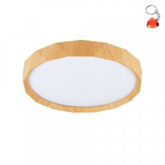 Lampa sufitowa LED 24W CADIX 13-17666 Candellux