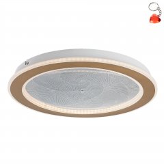 Lampa sufitowa LED 24W EFRAEL 71281 Rabalux
