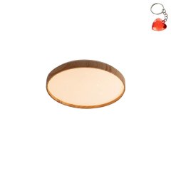 Lampa sufitowa LED 24W LEANA 6580 Rabalux