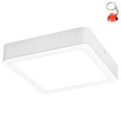 Lampa sufitowa LED 24W SHAUN 3176 Rabalux