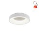 Lampa sufitowa LED 27W AVELON DL131671210 Trio