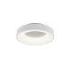 Lampa sufitowa LED 27W AVELON DL131671210 Trio