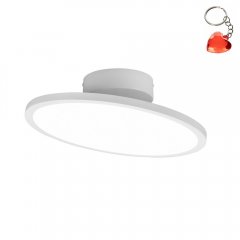 Lampa sufitowa LED 29W TRAY 640910131 Trio