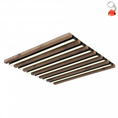 Lampa sufitowa LED 30W HAYDEN 67347D2 Globo