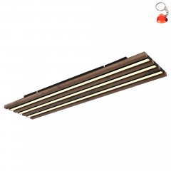 Lampa sufitowa LED 30W HAYDEN 67347D4 Globo