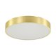 Lampa sufitowa LED 36W NADI MS724-R400-GD Zuma Line