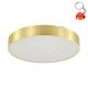 Lampa sufitowa LED 36W NADI MS724-R400-GD Zuma Line