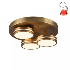 Lampa sufitowa LED 3x8W FRANKLIN 626510304 Trio