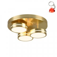 Lampa sufitowa LED 3x8W FRANKLIN 626510308 Trio