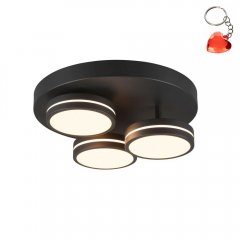 Lampa sufitowa LED 3x8W FRANKLIN 626510342 Trio