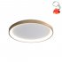 Lampa sufitowa LED 40W RADEN CLN-3151-S-GD Italux