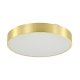 Lampa sufitowa LED 50W NADI MS724-R500-GD Zuma Line