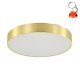 Lampa sufitowa LED 50W NADI MS724-R500-GD Zuma Line