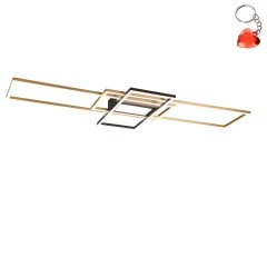 Lampa sufitowa LED 60W ALYRON DL408620010 Trio