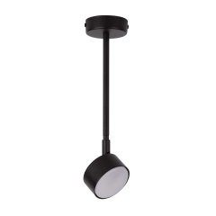 Lampa sufitowa NEMO 1 L 40883 Sigma Lighting