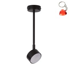 Lampa sufitowa NEMO 1 L 40883 Sigma Lighting