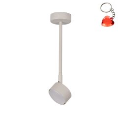 Lampa sufitowa NEMO 1 L 40888 Sigma Lighting