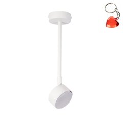 Lampa sufitowa NEMO 1 L 40980 Sigma Lighting