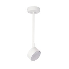 Lampa sufitowa NEMO 1 L 40980 Sigma Lighting