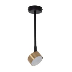 Lampa sufitowa NEMO 1 L 41086 Sigma Lighting