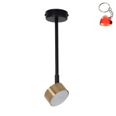 Lampa sufitowa NEMO 1 L 41086 Sigma Lighting