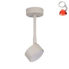 Lampa sufitowa NEMO 1 M 40887 Sigma Lighting