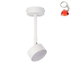 Lampa sufitowa NEMO 1 M 40979 Sigma Lighting