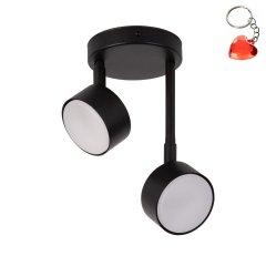 Lampa sufitowa NEMO 2 40884 Sigma Lighting