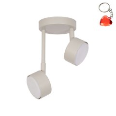 Lampa sufitowa NEMO 2 40889 Sigma Lighting