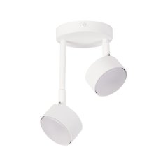 Lampa sufitowa NEMO 2 40981 Sigma Lighting