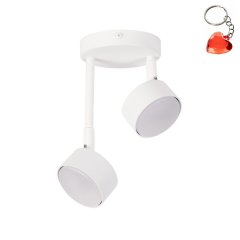 Lampa sufitowa NEMO 2 40981 Sigma Lighting