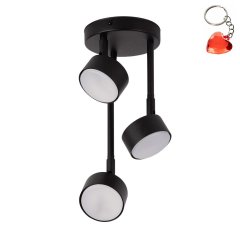 Lampa sufitowa NEMO 3 40885 Sigma Lighting