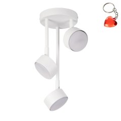 Lampa sufitowa NEMO 3 40982 Sigma Lighting