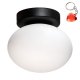 Lampa sufitowa OMI 1188 Zuma Line