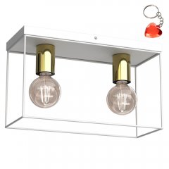 Lampa sufitowa prostokątna klatka 2-punktowa HOMEN 4357 Luminex