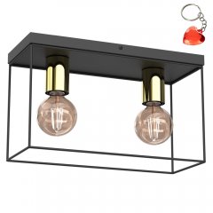 Lampa sufitowa prostokątna klatka 2-punktowa HOMEN 8110 Luminex