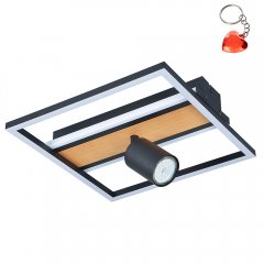 Lampa sufitowa reflektor spot KORDA C230857703 Zuma Line