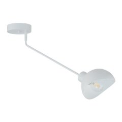 Lampa sufitowa ROY 1 32428 Sigma Lighting