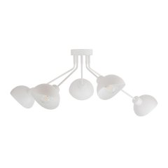 Lampa sufitowa ROY 5 32434 Sigma Lighting